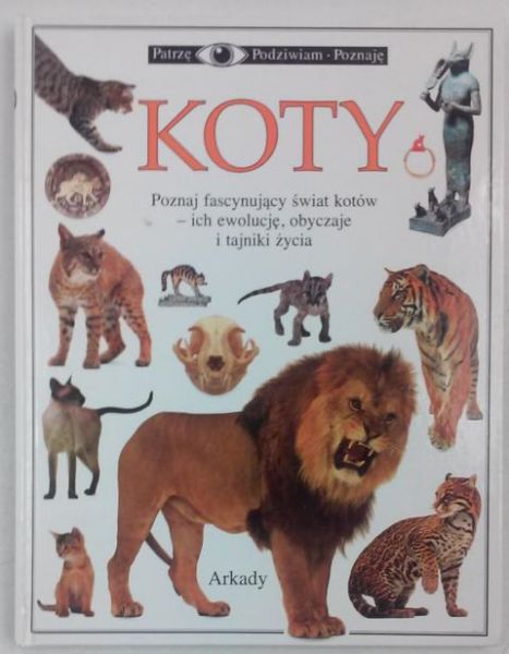 Koty
