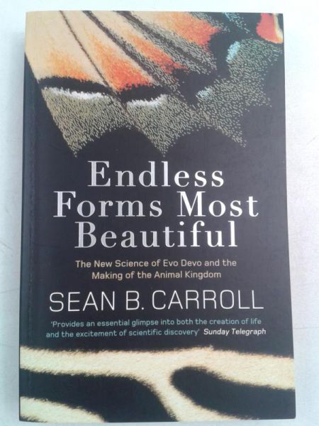 Endless Forms Most Beautiful