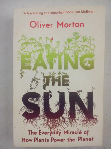Morton Oliver - Eating the Sun
