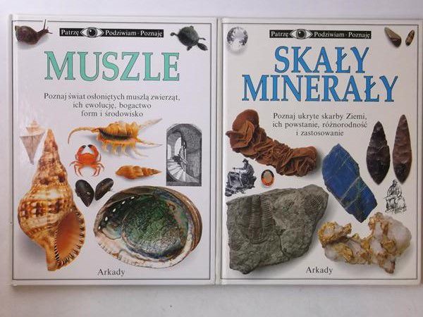 Muszle / Skały minerały