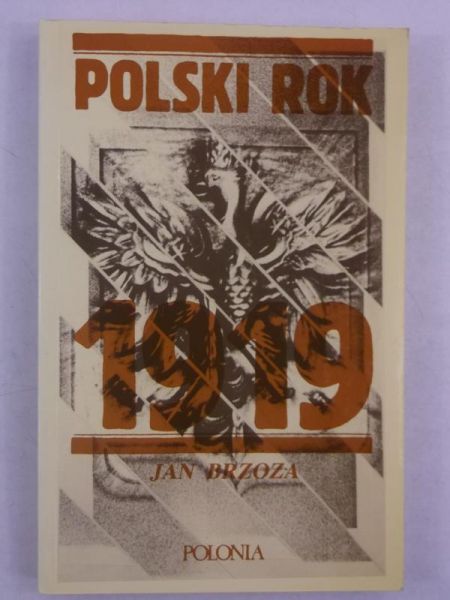 Polski rok 1919