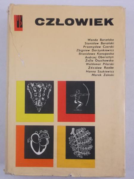 Człowiek