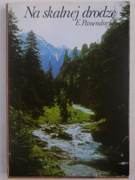 Na skalnej drodze