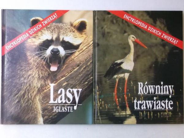 Lasy iglaste / Równiny trawiaste
