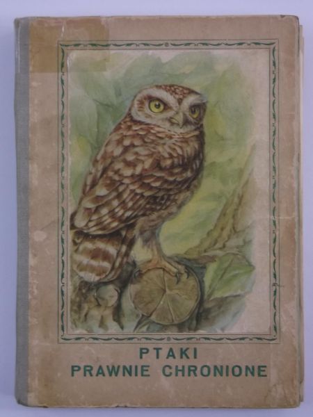 Ptaki prawnie chronione