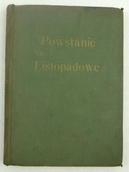 Powstanie listopadowe, 1920 r.