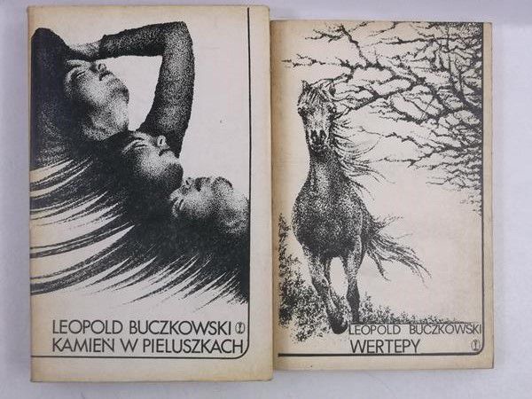 Kamień w pieluszkach / Wertepy