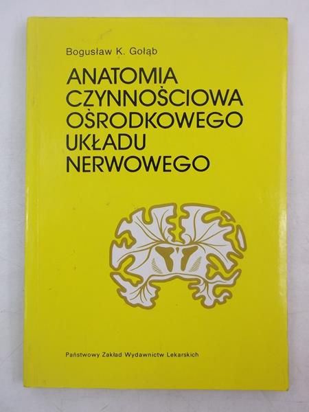 Anatomia czynnościowa ośrodkowego układu nerwowego