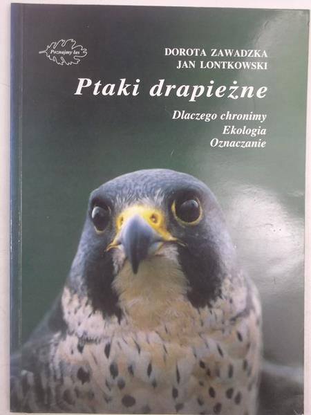 Ptaki drapieżne