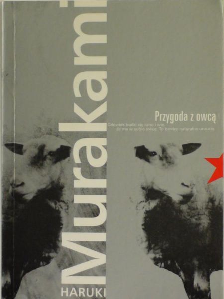Przygoda z owcą