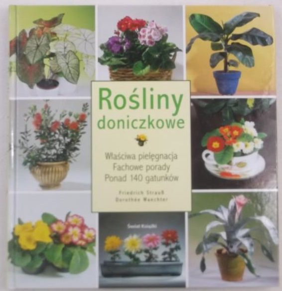 Rośliny doniczkowe