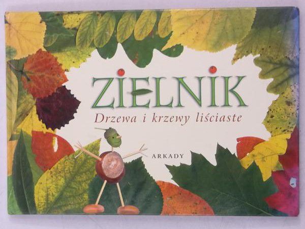 Zielnik. Drzewa i krzewy liściaste