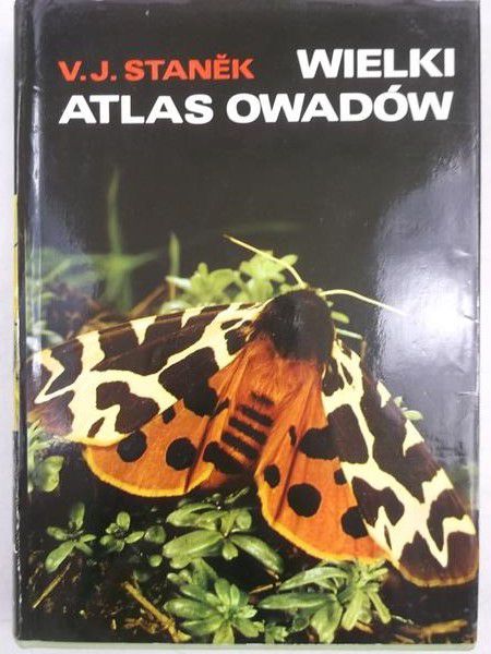 Wielki atlas owadów