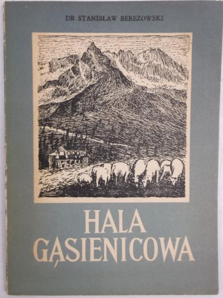 Hala Gąsienicowa