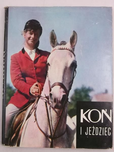 Koń i jeździec