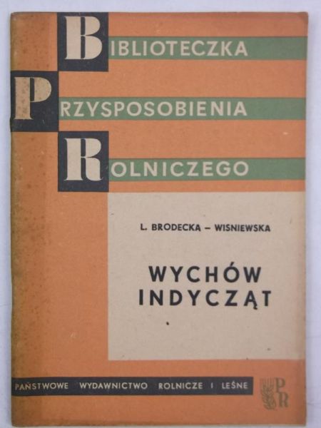 Wychód indycząt