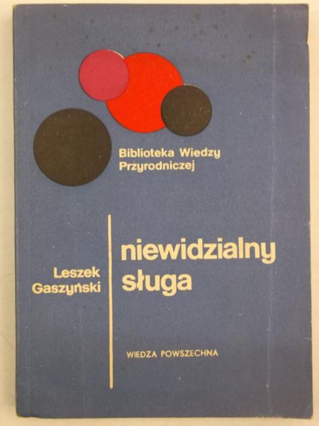 Niewidzianly sługa