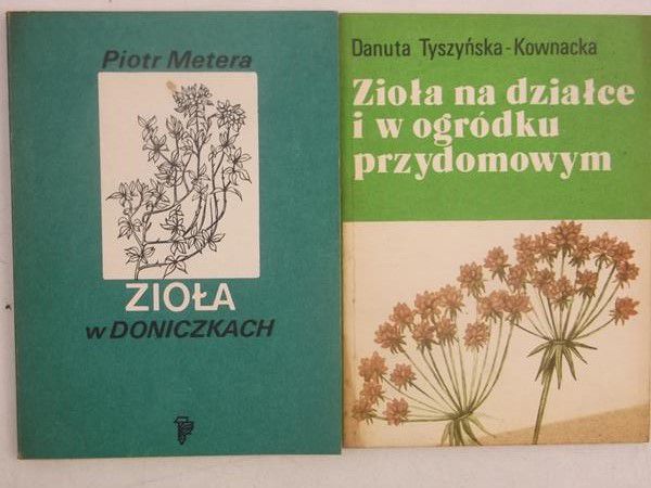 Zioła w doniczkach/ Zioła na działce i w ogródku prztdomowym