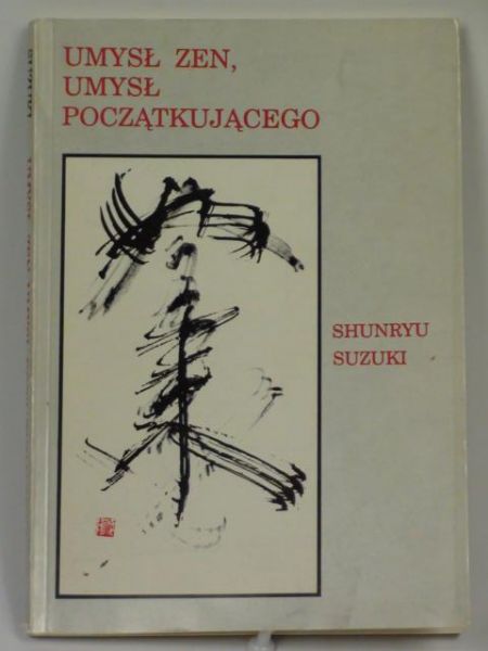Umysł zen, umysł początkującego