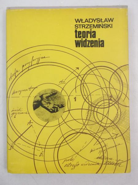 Teoria widzenia