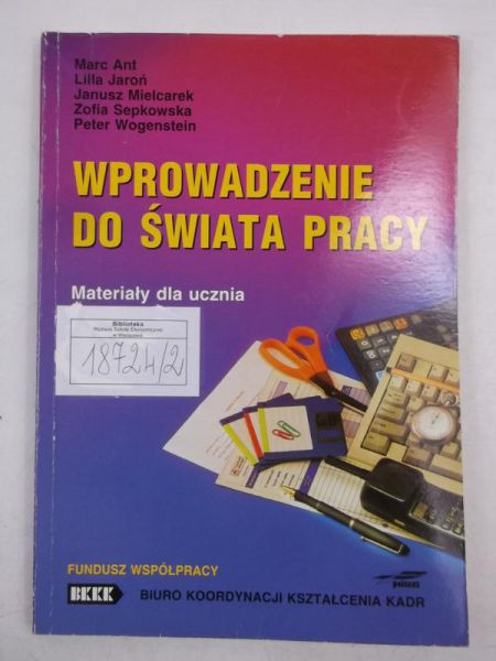 Wprowadzenie do świata pracy