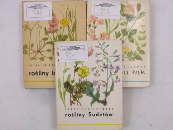 Rośliny Sudetów  Rośliny łąk  Rośliny torfowisk