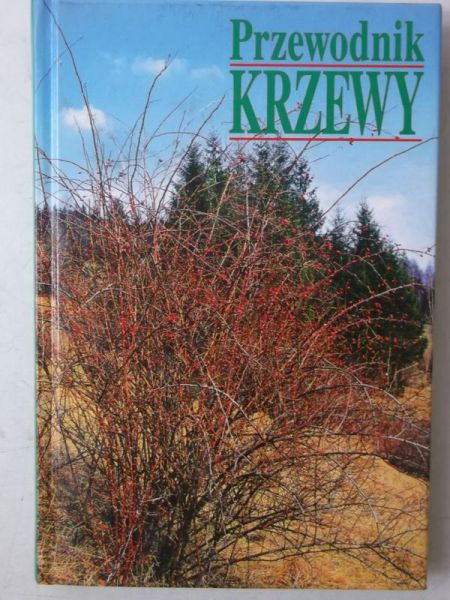 Przewodnik: Krzewy