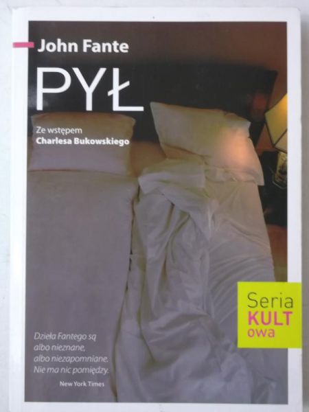 Pył