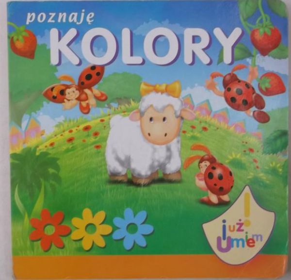 Poznaję kolory