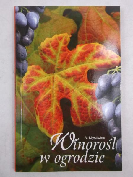Winorośl w ogrodzie