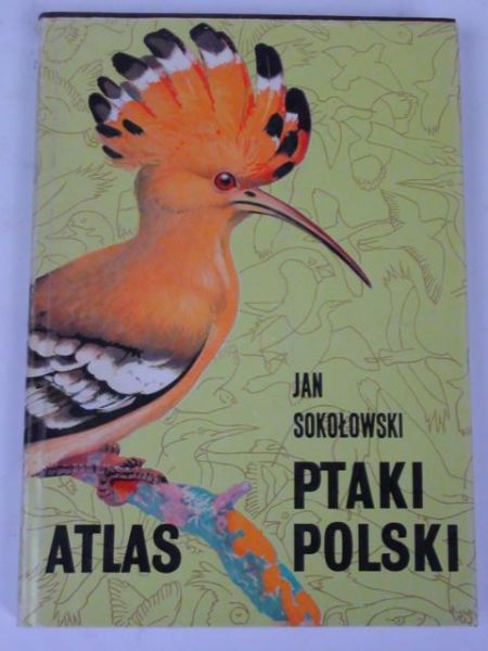 Ptaki Polski