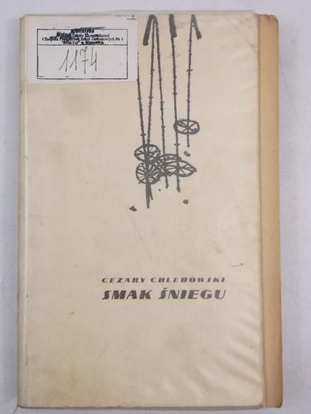 Smak śniegu