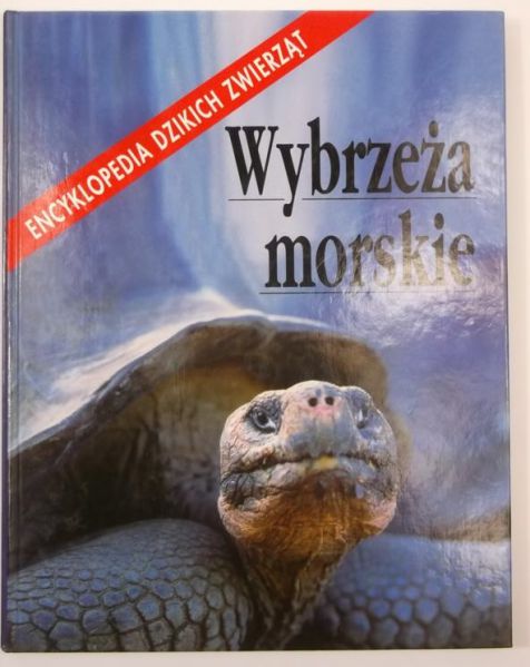 Wybrzeża morskie