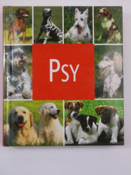 Psy