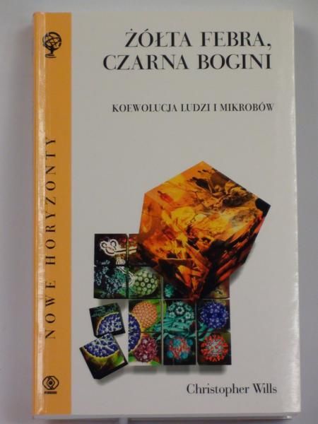 Żółta febra, czarna bogini