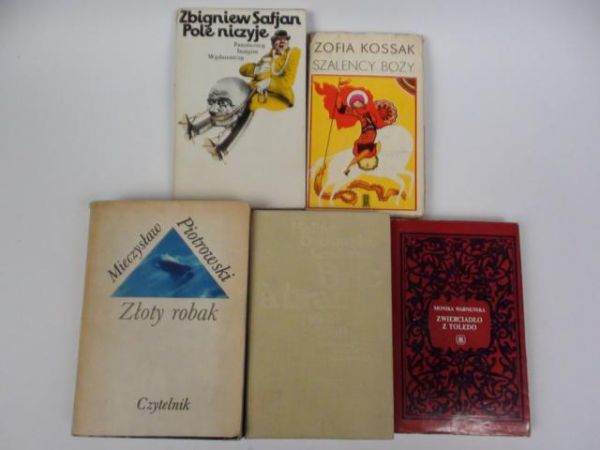 Kossak,Safjan,Warneńska,Ostrowska-Grabska,Piotrowski - Proza polska, 5 książek