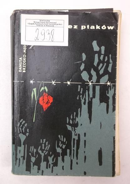 Mędryk  - Niebo bez ptaków