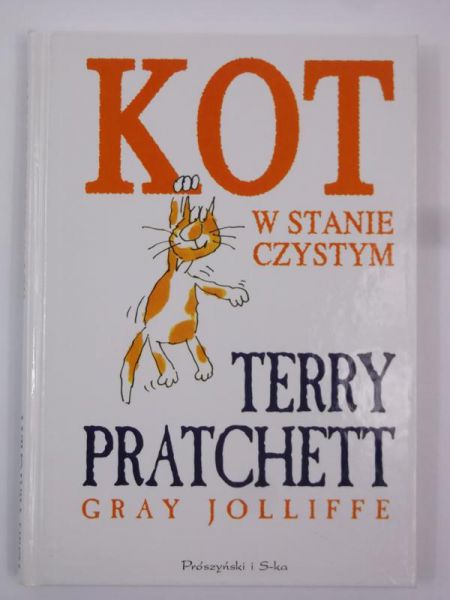 Kot w stanie czystym
