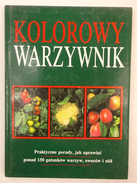 Kolorowy warzywnik