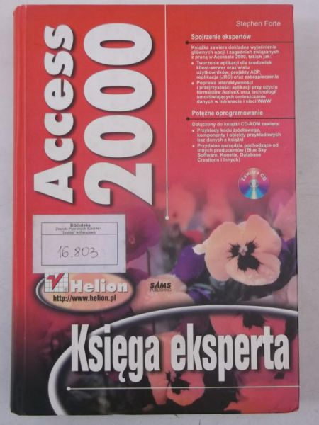 Access 2000. Księga eksperta