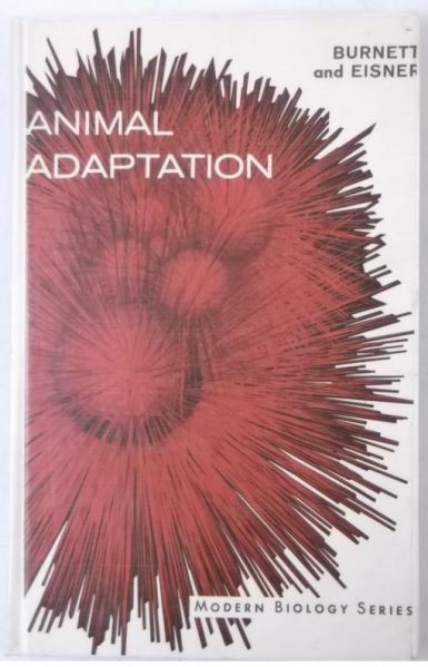 Burnett Allison L. - Animal Adaptation