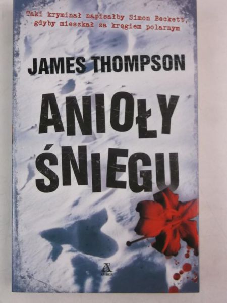 Anioły śniegu