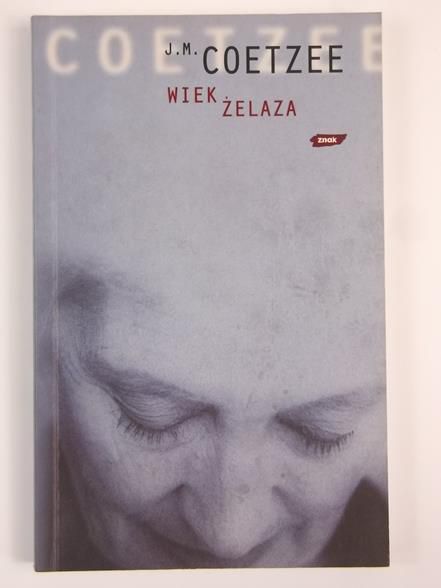 Wiek żelaza
