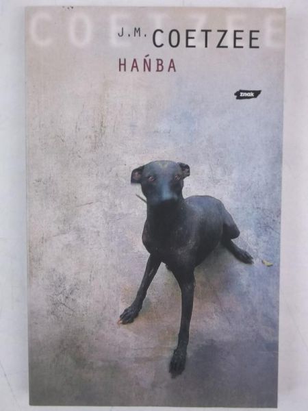 Hańba