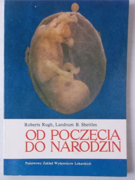 Od poczęcia do narodzin