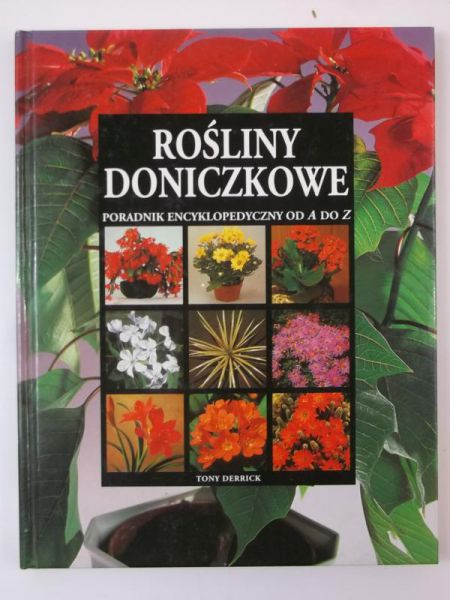 Rośliny doniczkowe