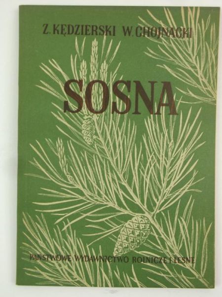 Chojnacki W. - Sosna