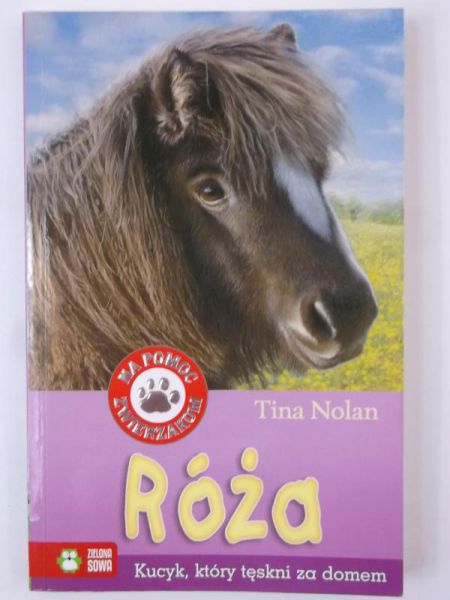 Róża