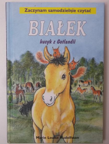 Białek, kucyk z Gotlandii