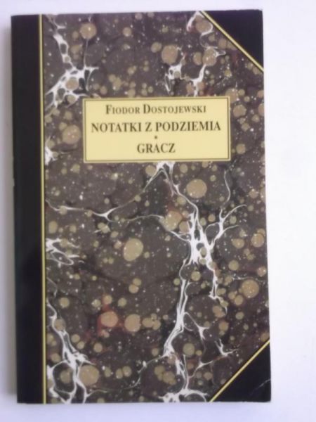Notatki z podziemia, Gracz